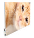 Infrared Heater Picture with built in Thermostat 600W (Metal)-UK Infrared Heating Company