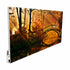 Infrared Heater Picture with built in Thermostat 750W (Metal)-UK Infrared Heating Company