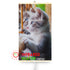 Infrared Wall mounted  Picture Heater. Far Infrared Heating Panel 420W "Kitten"
